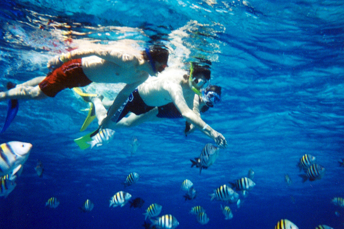 Cozumel culture