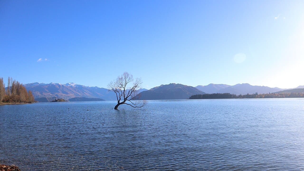Wanaka
